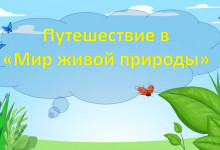 Учителя и Экологи Отмечают Преимущества Презентаций на Тему Мир Природы