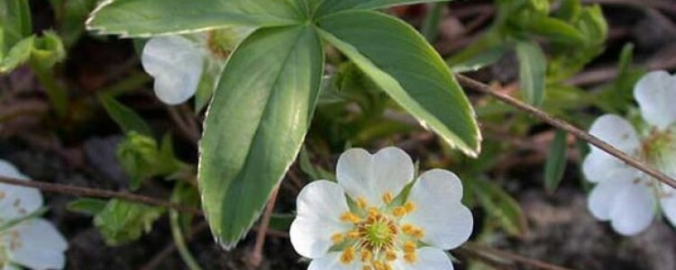 Подсознание сила