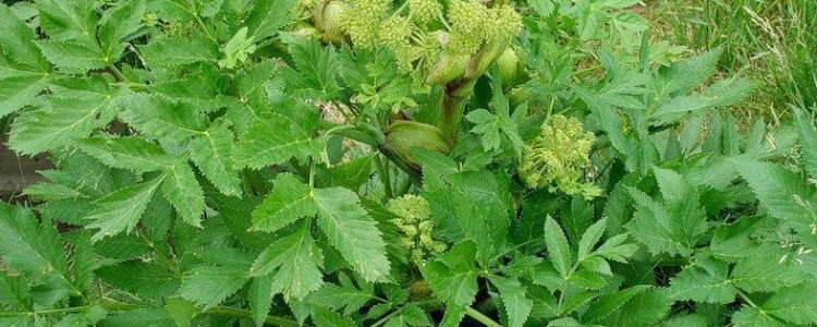 Исследователи Penn Medicine призывают к дополнительным исследованиям влияния дефицита сна и употребления наркотиков среди астронавтов