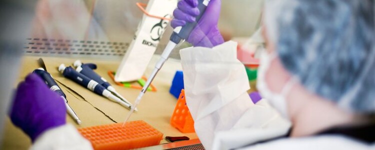 КАКИЕ ФАКТОРЫ ВЛИЯЮТ НА СТОИМОСТЬ ЗУБНЫХ ИМПЛАНТАТОВ?