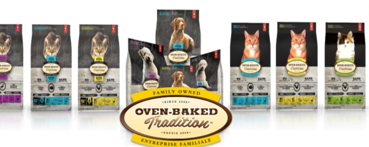 Новая методика стимуляции мозга обещает помочь в лечении заболеваний головного мозга