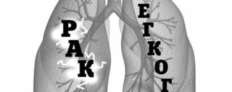 Колебания дофамина в отдельных субрегионах мозга предсказывают вознаграждение в различных временных масштабах