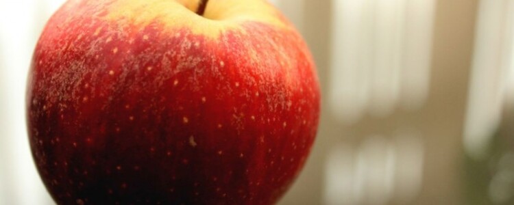 Эффективные упражнения на рабочем месте