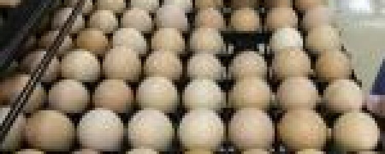 Первая помощь при солнечном и тепловом ударе