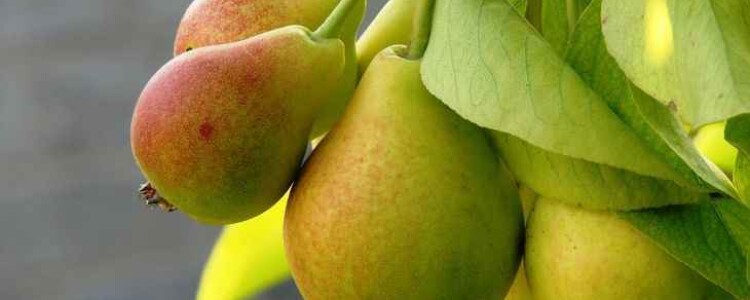 Все об артрите