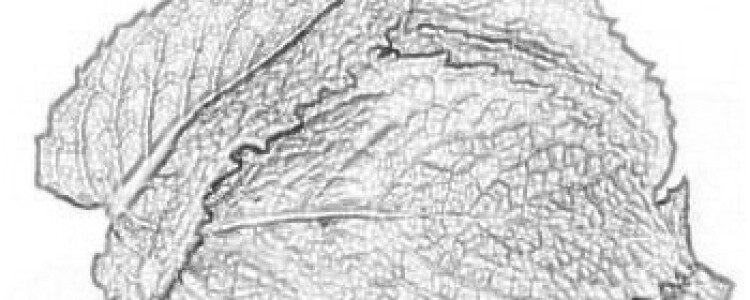 Глобальное исследование выявило «проблемное» использование порнографии