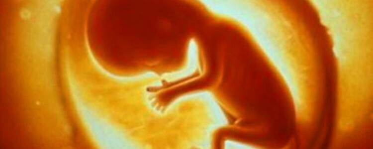 Исследования показывают, что эфирные масла полезны для вашего здоровья и настроения