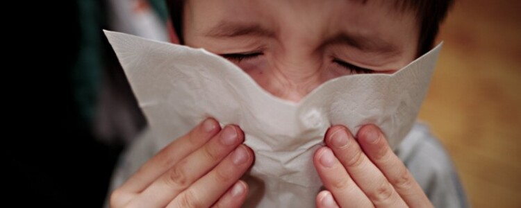 AHA News: Чтобы бороться с продовольственным неравенством, некоммерческая организация помогает соседям правильно питаться