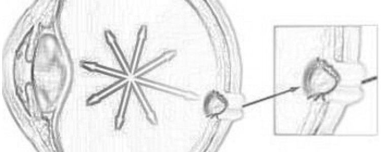 Инструмент биоинформатики нового поколения позволяет анализировать большие данные без опыта программирования