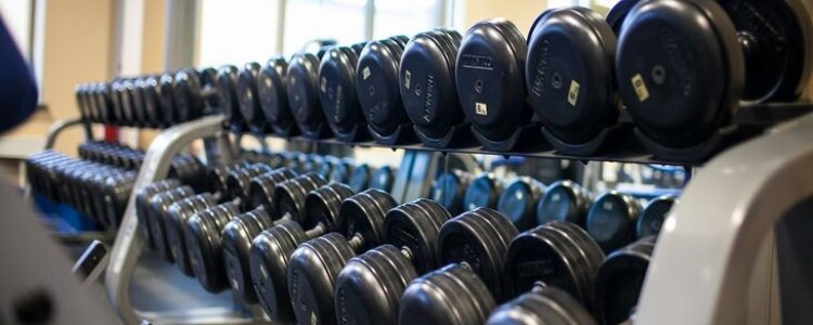 Автостопом синтетический антиген стимулирует выработку антител против раковых клеток