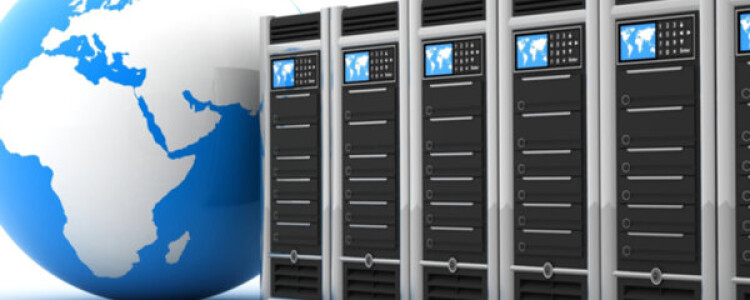 Органическое соединение, обнаруженное в деревьях, может предотвратить глазные инфекции, вызванные контактными линзами