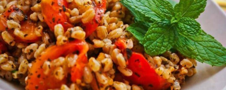 Исследователи моделируют гематоэнцефалический барьер с помощью системы «Ткань в КУБЕ»