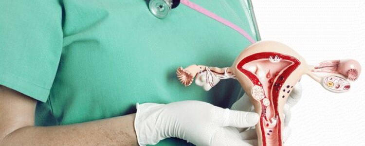 Как правильно голодать