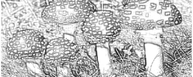 Генетическое исследование выявило факторы риска развития коронарной болезни сердца