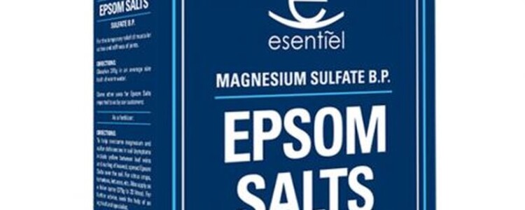 Новая клеточная терапия перспективна для пациентов с острым респираторным дистресс-синдромом