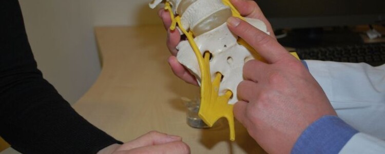 Уничтожение клещей в Оренбурге: Эффективные методы борьбы с опасными паразитами