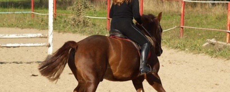 Одеяла и покрывала. Как выбрать этот декоративный элемент?