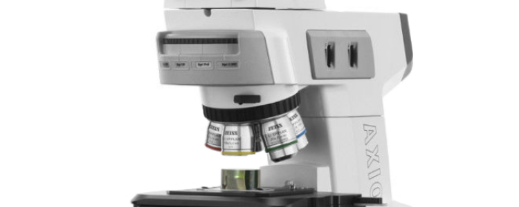 Фаучи предупреждает об очередном всплеске случаев COVID после путешествия в День благодарения