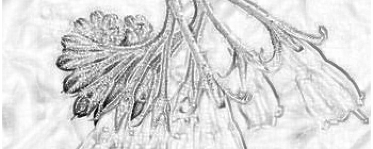 Основные показатели здоровья: 8 октября 2020 г.