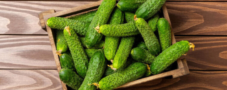 Исследователи обнаружили, что неврологические повреждения вызваны иммунным ответом, а не острыми вирусными инфекциями