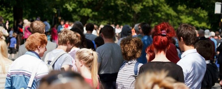 Онлайн-справочник налоговых инспекций: Избегайте штрафов и упростите свою жизнь