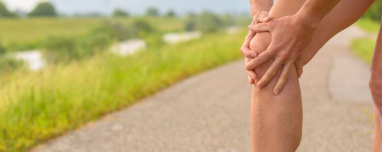 Исследование показало, что ожирение нарушает нормальную функцию печени у мышей