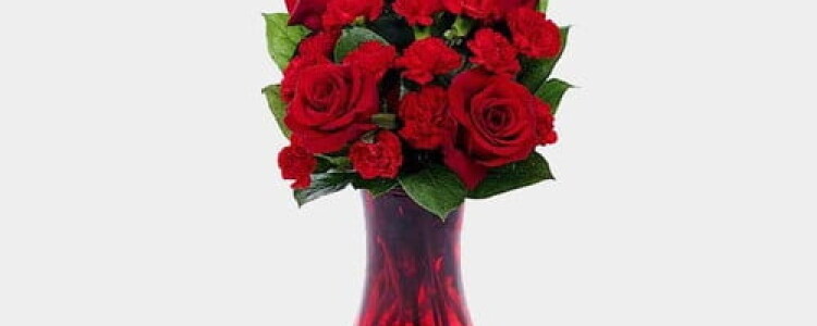 Учебное оборудование для студентов медицинских специальностей: виды и особенности