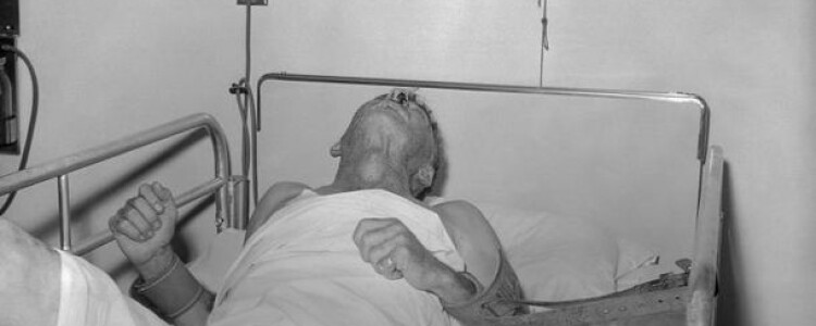 Биологи Института мышц Пенна получили 9 миллионов долларов на исследование клеточных двигателей