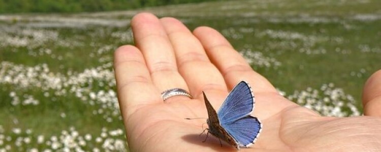 Новый Этап Роста: Babybett Mitwachsend (Расширяемая Детская Кроватка)