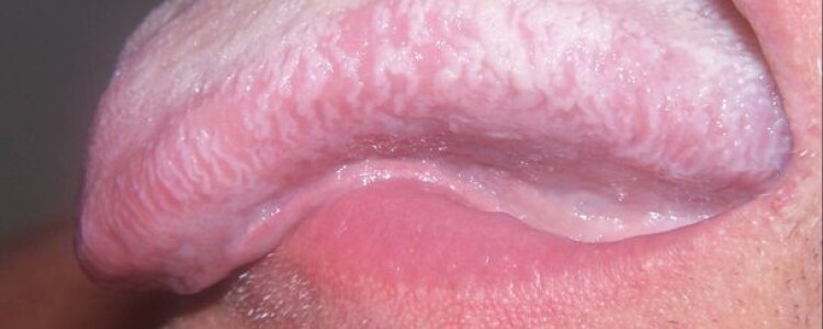 Как официальный интернет-магазин ножей Nozhikov помогает выбрать идеальный нож: ключевые преимущества и особенности