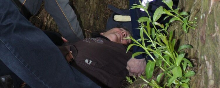 Как утеплить канадский дом и не только его?