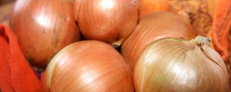 Дезинфекция сухим теплом маски N95 работает, сохраняет форму