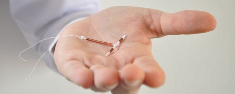 Преимущества использования термодревесины