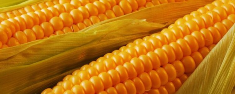 Стенокардия, симптомы и лечение