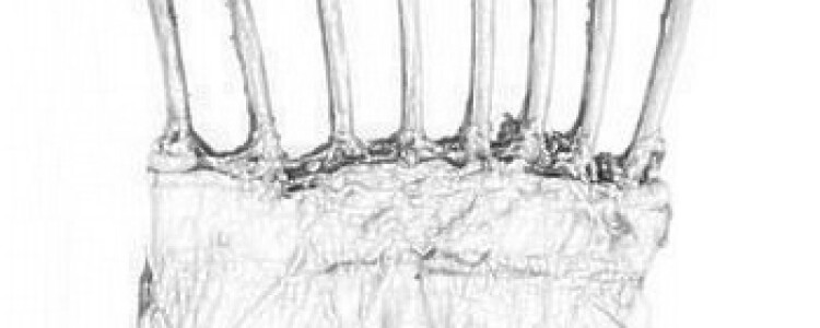 Как часто принимать душ