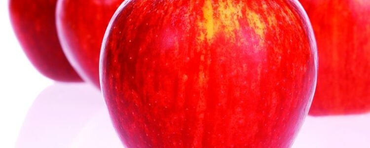 Исследователи выясняют, как вирус mpox проникает в клетки мозга