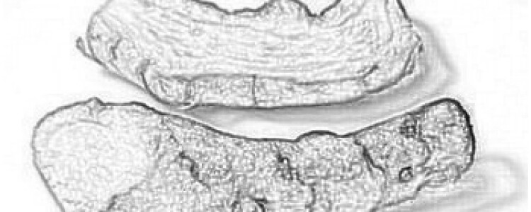 Итальянская мебель: в чем ее преимущества?