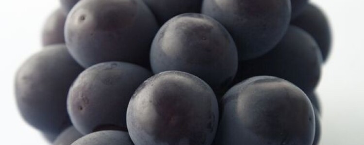 6 естественных способов лечения эректильной дисфункции