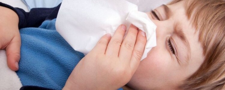 Пиелонефрит это инфекционное воспаление почек