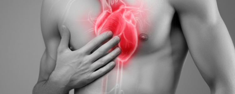 6-ой месяц беременности