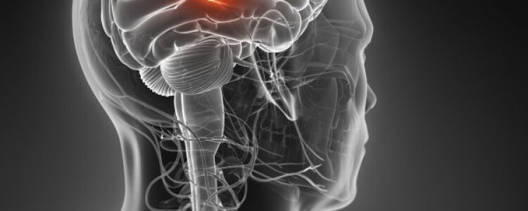 Преимущества использования Telegram: Инновации и Безопасность