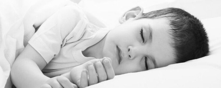 Пихта Нордмана