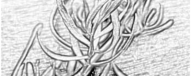 Новый метод нацеливания на мутантный белок RAS дает надежду больным раком