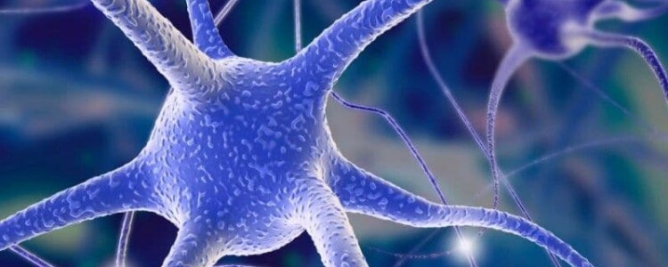 Лишение родительских прав: основания и процедура