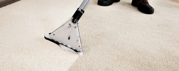 Илен Розен из Пенна избрана президентом Американской академии медицины сна