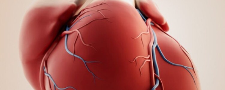 Устала быть беременной