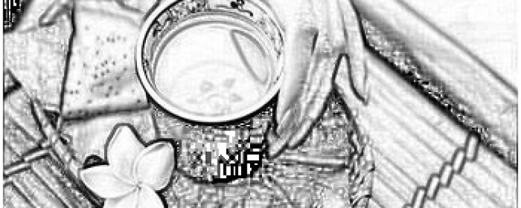 Соединение, полученное из мидий, повышает долговечность лечения зубных пломб