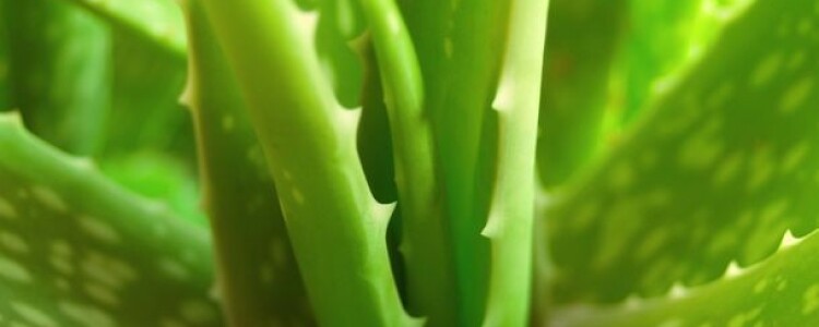 Преимущества и использования красного гранита