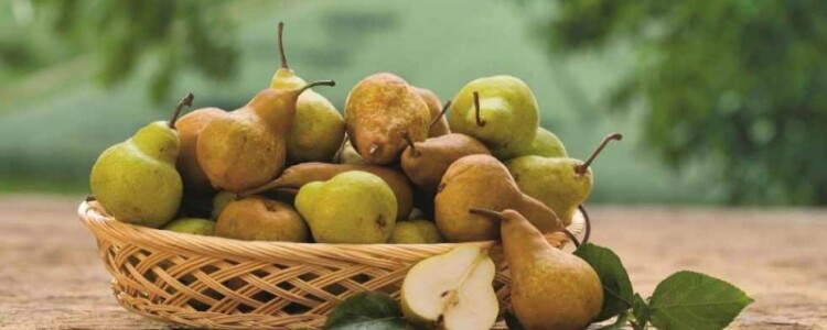 Гиперплазия предстательной железы