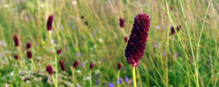 Преимущества сплит-систем Quattroclima: Эффективность, Комфорт и Современные Технологии